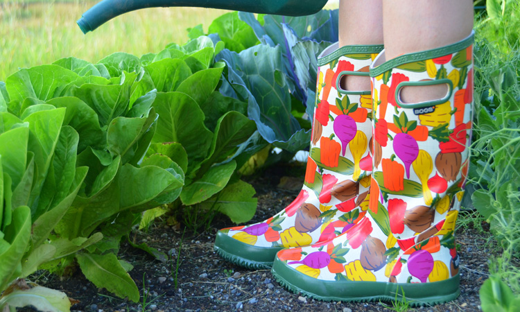 Top 10 Gardening Boots in 2020 - Highly 