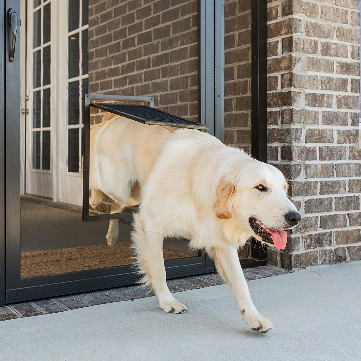 Best Dog Door For Sliding Door in 2021 Business 99